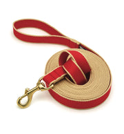 Color Market Training Lead