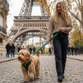 Load image into Gallery viewer, EcoBark Forest Green Dog Harness - Over-the-Head Vest Halter Soft Mesh for Small to Medium Dogs
