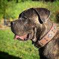 Load image into Gallery viewer, "Aztec" grey dog collar
