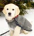 Load image into Gallery viewer, Gray Cable Knit Dog Sweater
