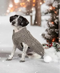 Load image into Gallery viewer, Gray Cable Knit Dog Sweater
