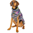 Load image into Gallery viewer, Purple Woodstock Dog Sweater
