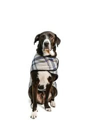 Gray and Blue Plaid Dog Blanket Coat