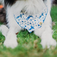 Load image into Gallery viewer, Big Tex Dog Bandana in Blue x Studio Orch Collaboration Collection
