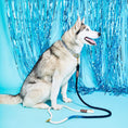 Load image into Gallery viewer, Dog Collars Premium Hand Dyed Indigo Cotton Canvas Cat & Dog Collar - Southlake Paws
