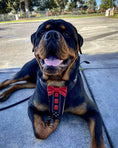 Load image into Gallery viewer, Bestia ''Bowtie'' leather harness
