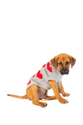 Load image into Gallery viewer, Red Hearts Dog Sweater
