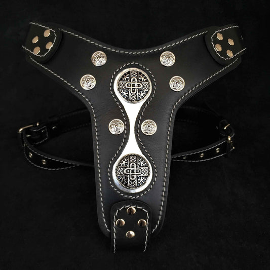 The "Hektor" Dogs and pets harness