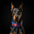 Load image into Gallery viewer, Superdog Collar
