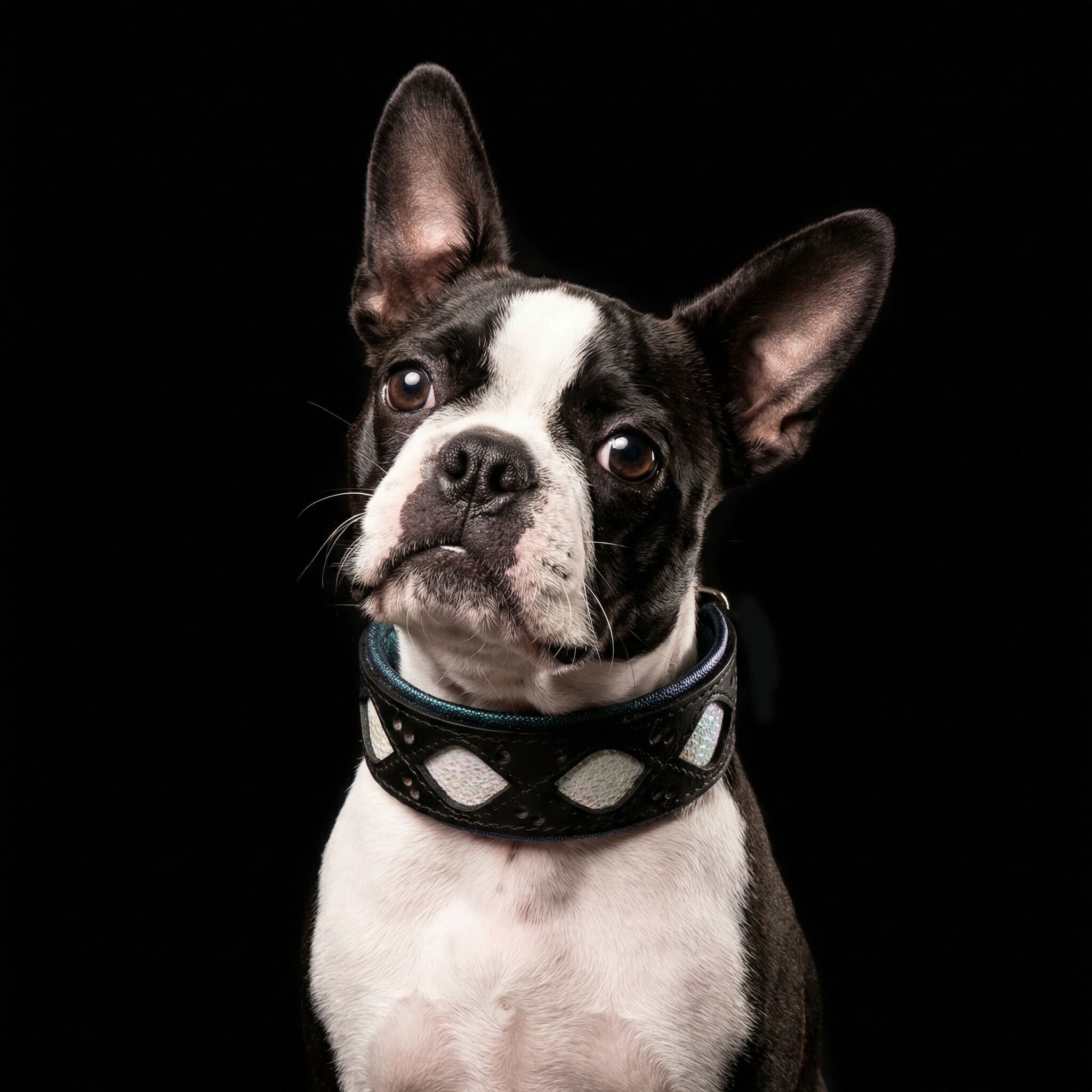 The Avatar Collar