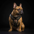 Load image into Gallery viewer, Irondog Harness Medium size
