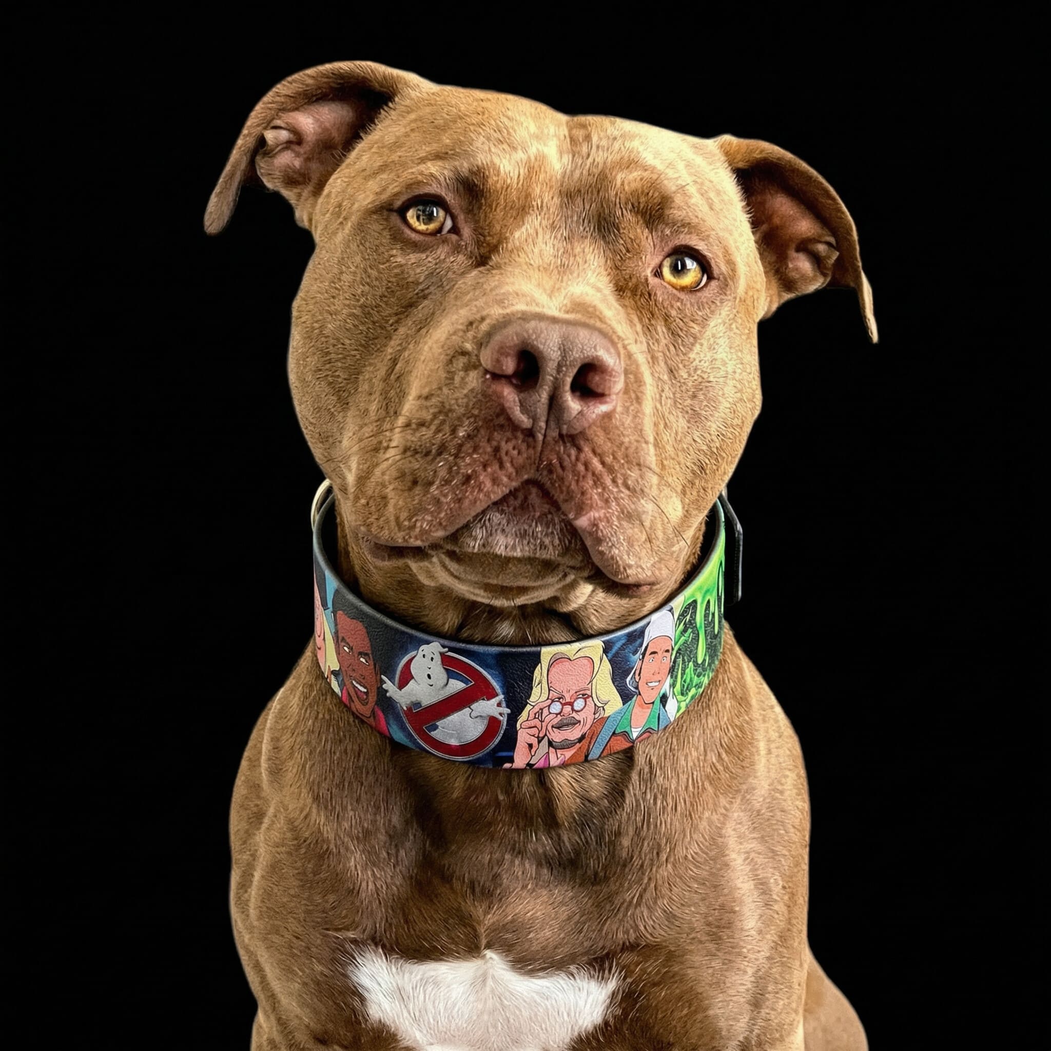 The “Ghostbuster” collar -LIMITED