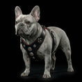 Load image into Gallery viewer, The ''Bijou'' harness Black & Red Small to Medium Size
