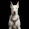 Load image into Gallery viewer, THE CANDY Harness
