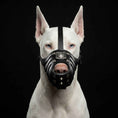Load image into Gallery viewer, 'Eros'' Basket Muzzle All Black
