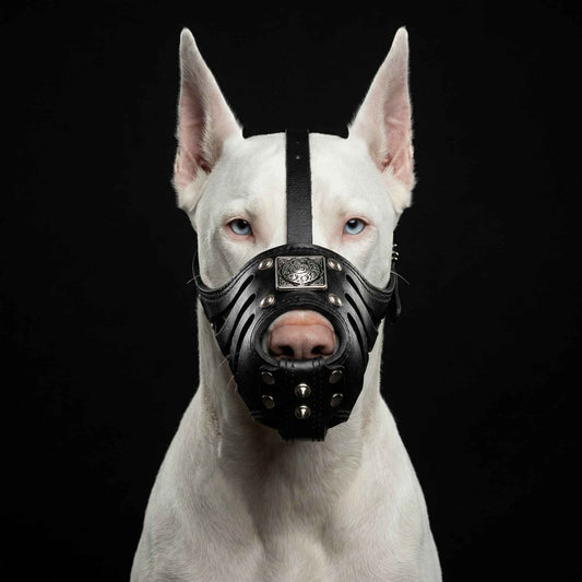 Eros'' Basket Muzzle All Black by Bestia Dog Gear