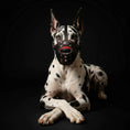 Load image into Gallery viewer, 'Eros'' Basket Muzzle black & red
