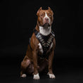 Load image into Gallery viewer, The "Steel" harness
