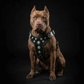 Load image into Gallery viewer, 'Bijou'' harness Black & Green for big dogs
