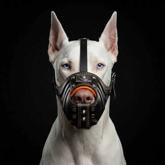 Eros'' Basket Muzzle black & orange by Bestia Dog Gear