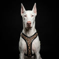 Load image into Gallery viewer, The Leopard Harness
