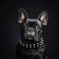 Load image into Gallery viewer, "Frenchie" collar
