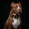 Load image into Gallery viewer, The "Bijou" collar orange
