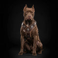 Load image into Gallery viewer, The "Aztec" big dogs harness BROWN
