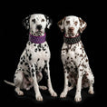 Load image into Gallery viewer, "Crystal" 2.8 inch wide soft leather collar

