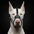 Load image into Gallery viewer, The "Hektor" muzzle
