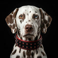 Load image into Gallery viewer, 'Diamond'' collar
