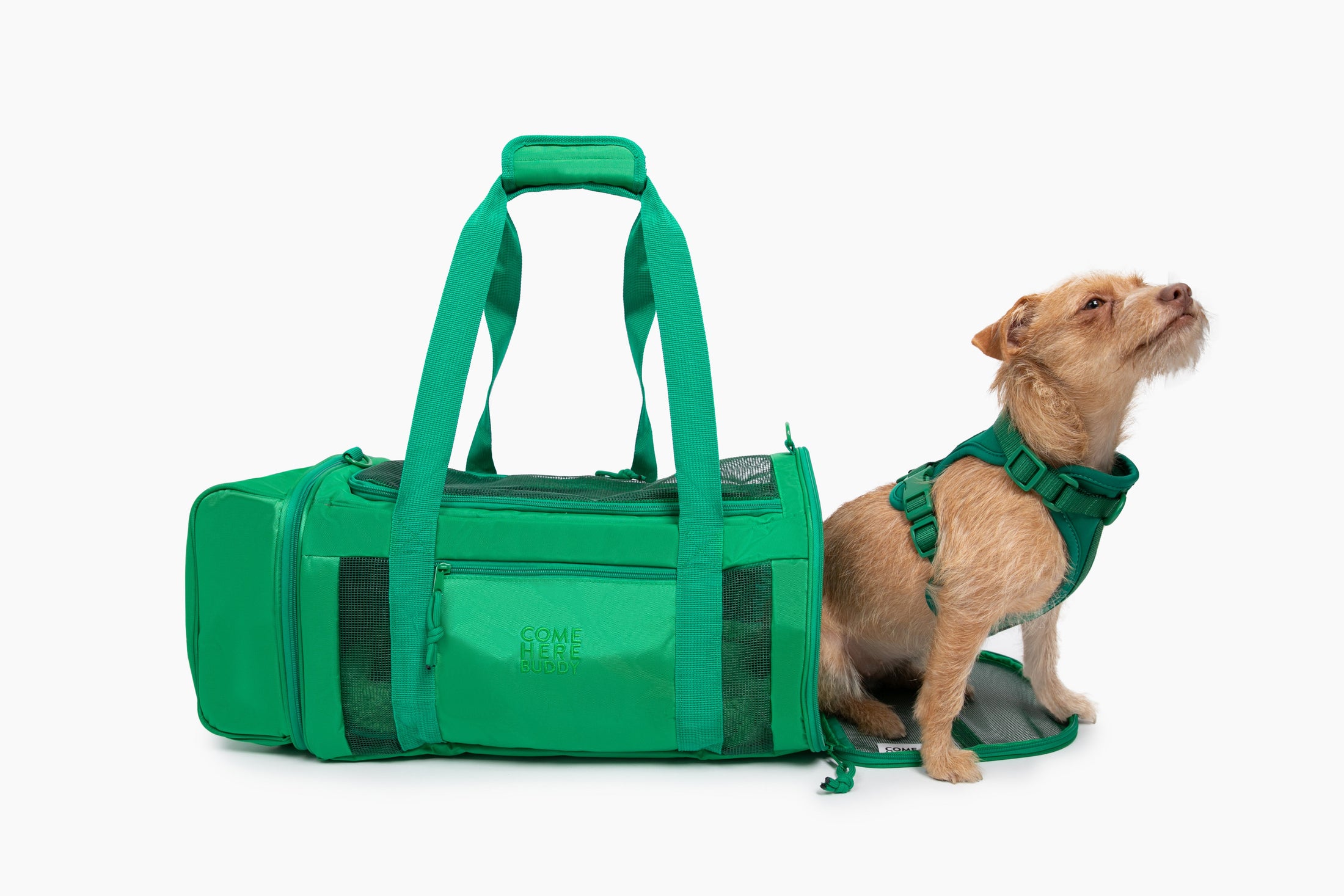 Travel Buddy - Pet Carrier - Southlake Paws