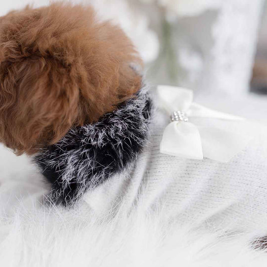 Hello Doggie High Society Dog Sweater Wool Sweaters