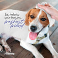 Load image into Gallery viewer, Himmy™ Large Pet Wipes for Dogs and Cats
