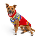 Load image into Gallery viewer, Holiday Fairisle Dog Sweater
