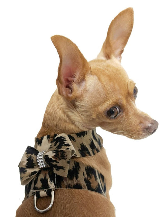 Hollywood Bow Dog Harness, Leopard 
