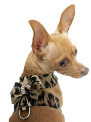 Hollywood Bow Dog Harness, Leopard 