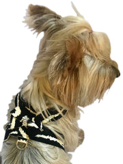 Hollywood Bow Dog Harness, Zebra 