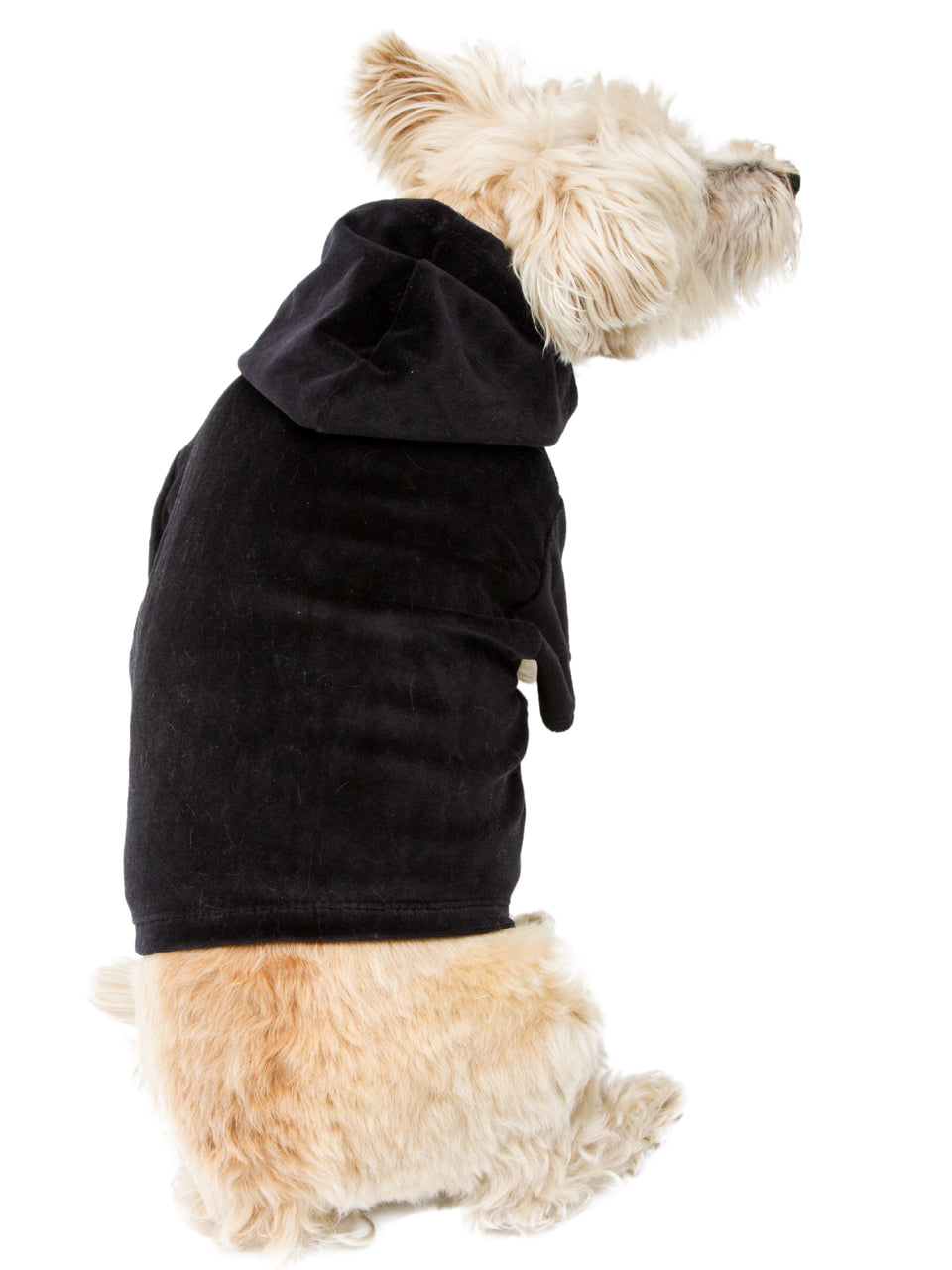 Velour Zip Front Hoodie, Black