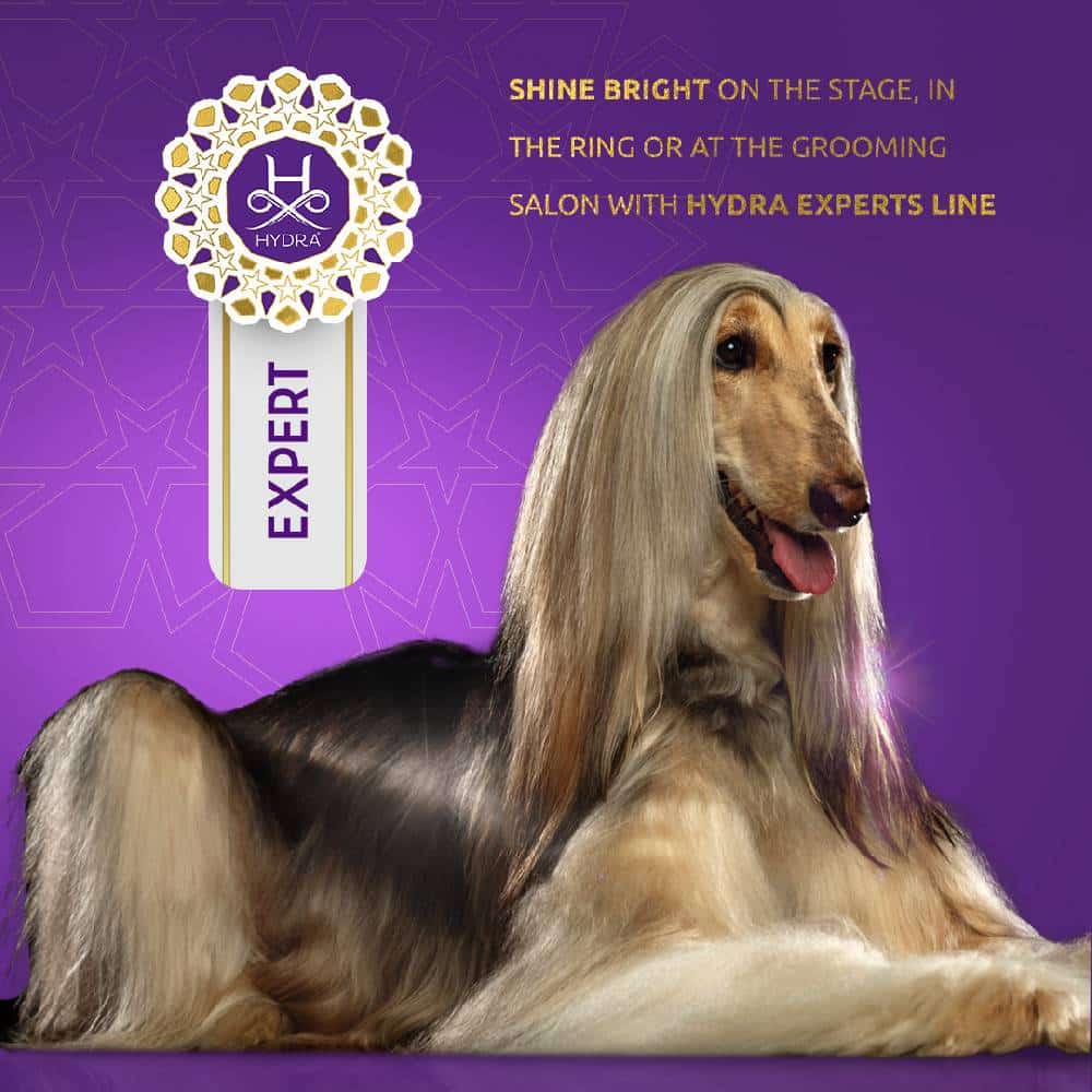 Hydra Expert Volumizing Mousse 5.07oz