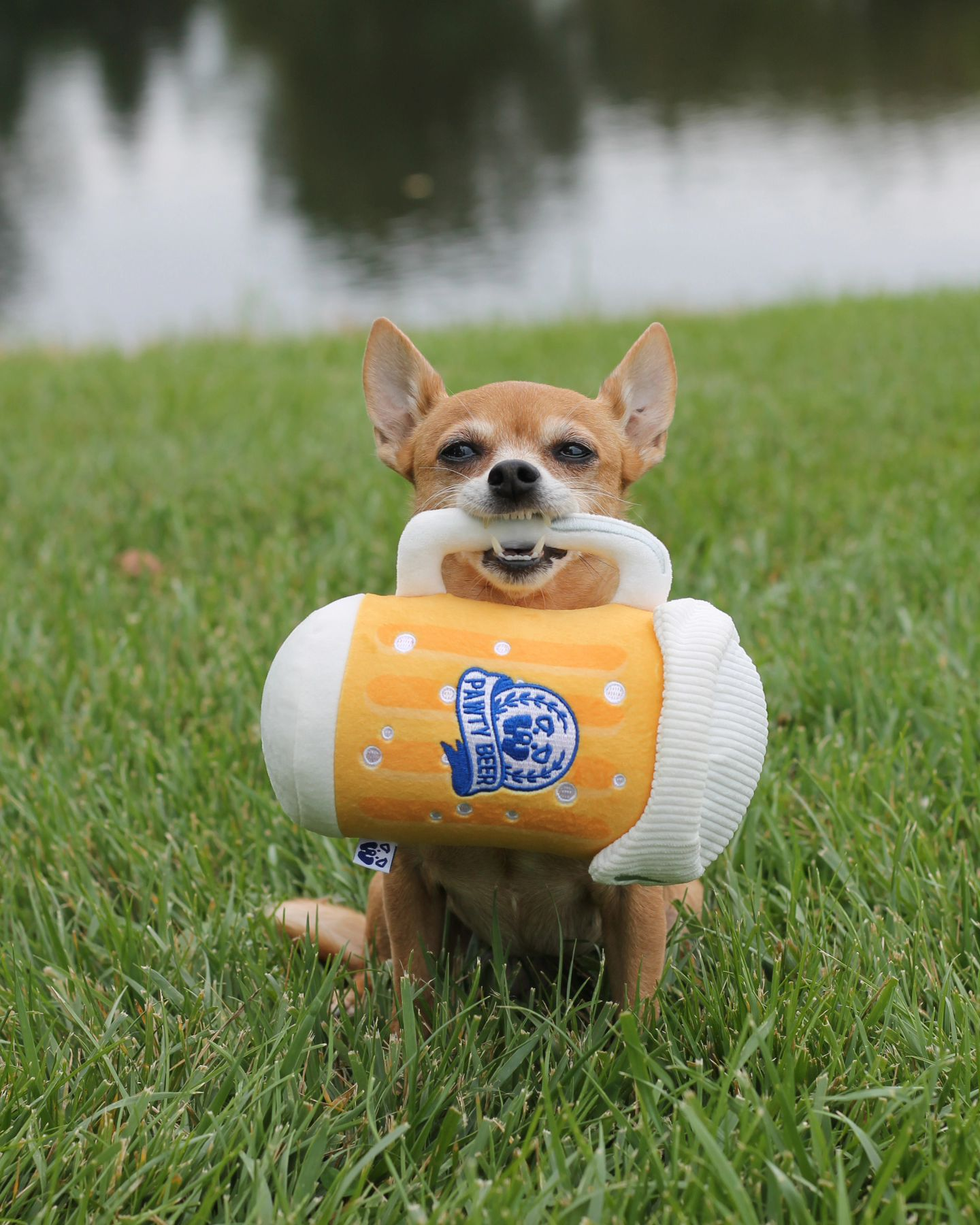 PAWTY BEER PLUSH DOG TOY - Southlake Paws