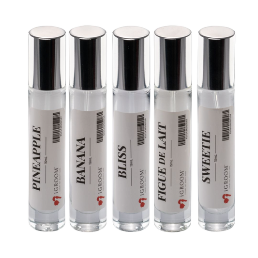 Five Best Seller Perfume Bundle 15ml by iGroom