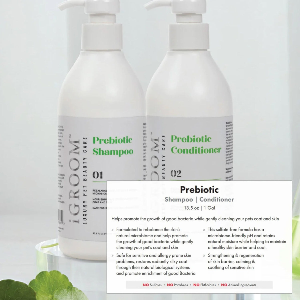 Dog Prebiotic Shampoo 16oz by iGroom