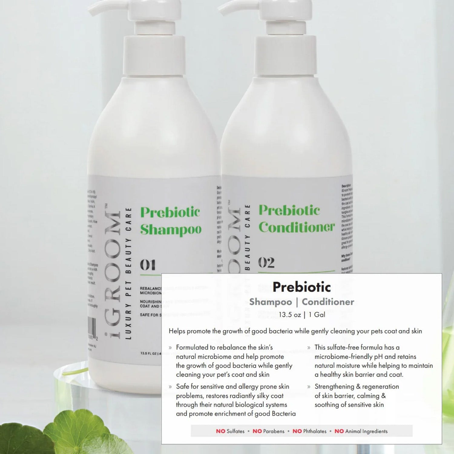 Prebiotic Conditioner 16oz by iGroom