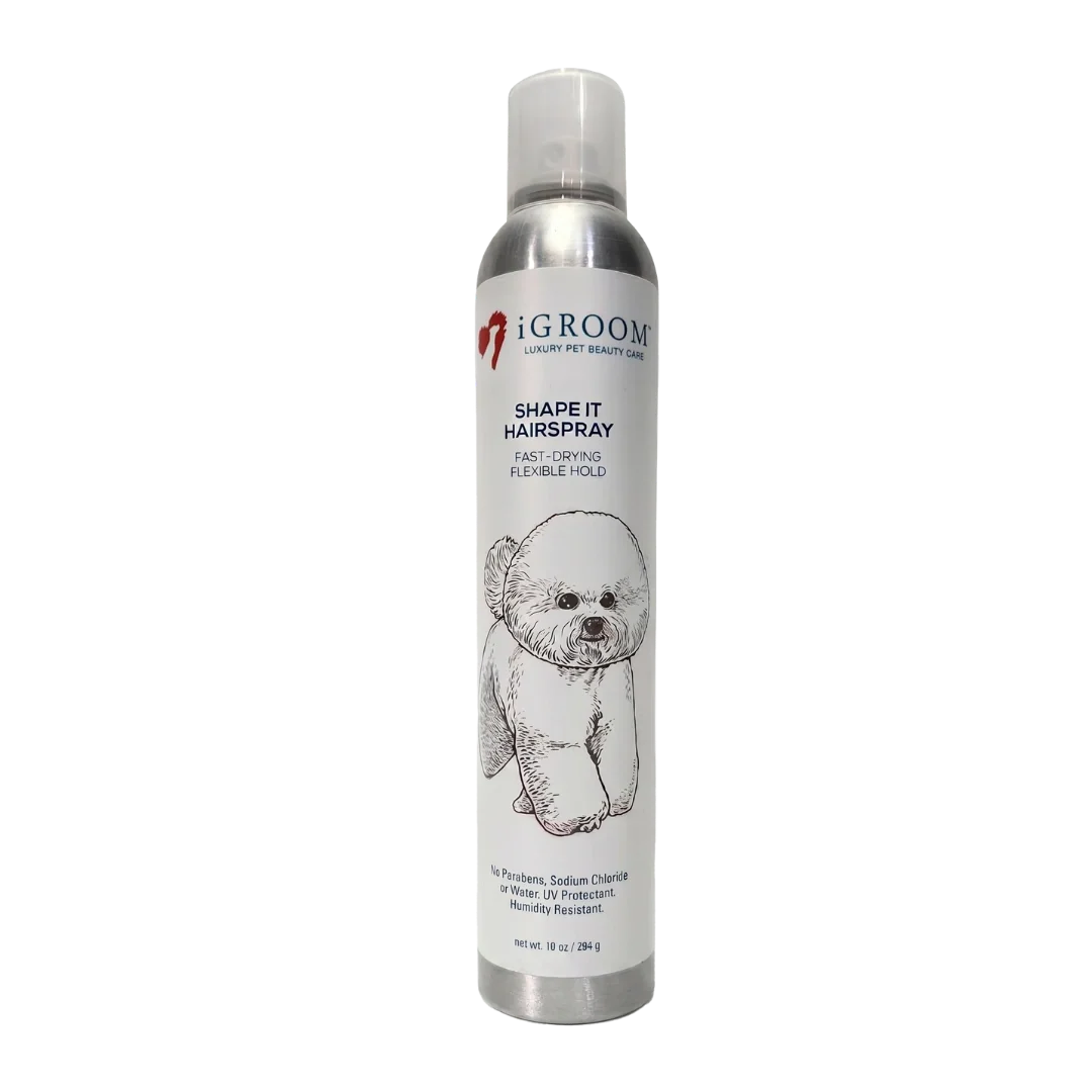Shape It Hairspray 10 Oz by iGroom