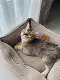 Load image into Gallery viewer, Corduroy Cat Bed Dreamer - Southlake Paws
