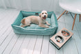 Load image into Gallery viewer, Velvet Dog Bed Dreamer - Southlake Paws
