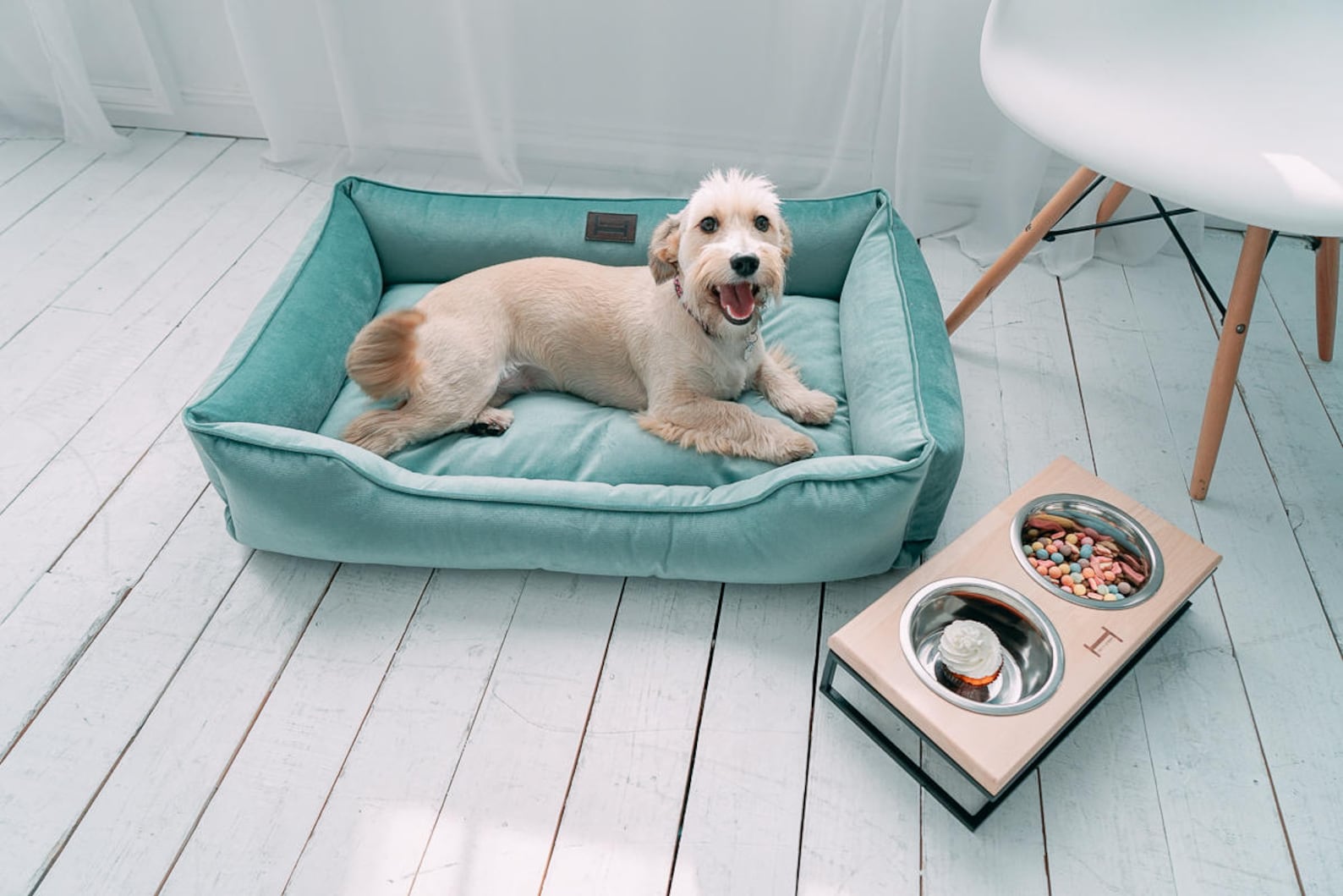 Velvet Dog Bed Dreamer - Southlake Paws
