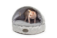Load image into Gallery viewer, Cover Cat Bed - Southlake Paws
