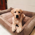 Load image into Gallery viewer, Corduroy Dog Bed Dreamer - Southlake Paws
